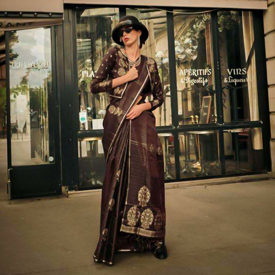Brown  Satin Casual Wear Saree