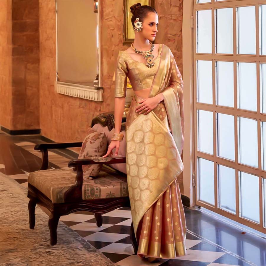 Brown Tissue Silk Casual Wear Saree