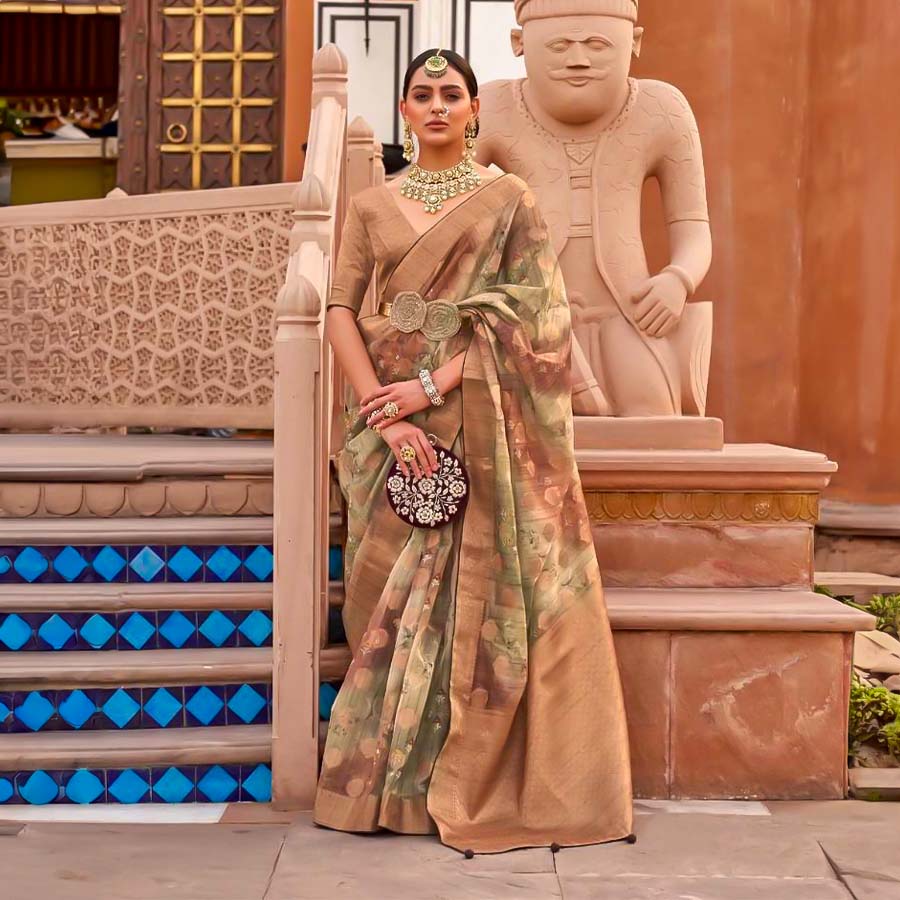 Green  Organza Casual Wear Saree