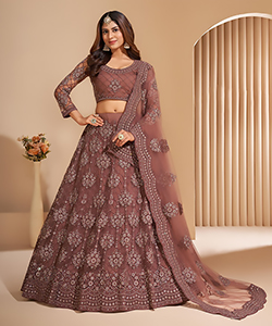 Brown NET Partywear Lehenga