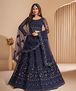 Blue NET Partywear Lehenga