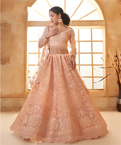 Peach Net Partywear Lehenga