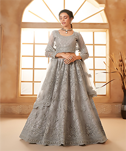 Grey Net Partywear Lehenga