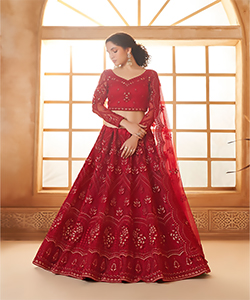 Red Net Partywear Lehenga