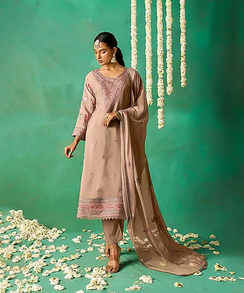 Brown Organza  Designer Salwar Kameez