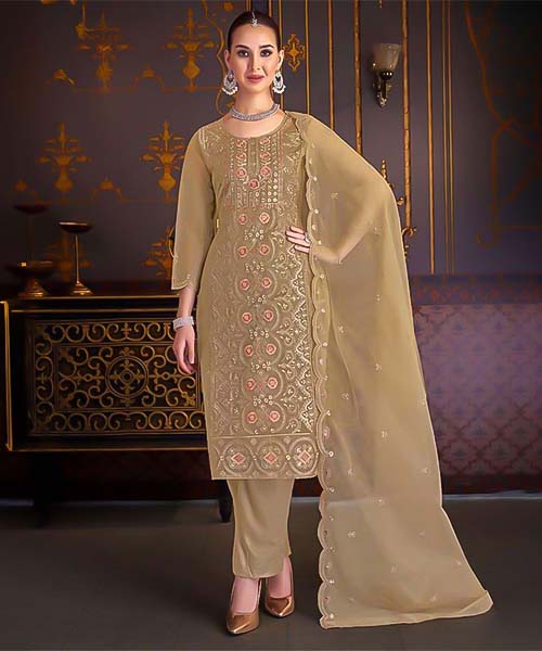 Light Brown Organza Casual Wear Salwar Kameez