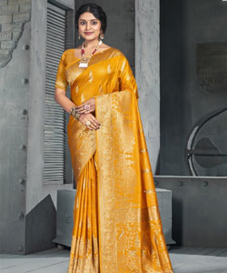 Luxury Draped in Fabric Designer Saree Showcase