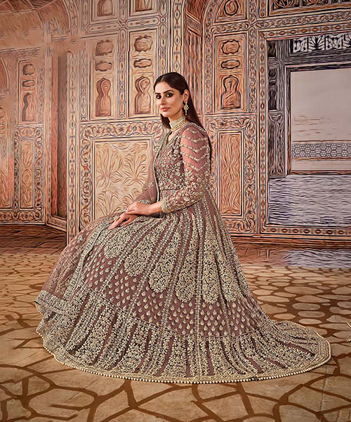 Brown Net Designer Salwaar Kameez