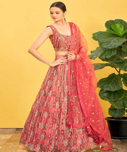 Multicolor & Rust Organza & Slub Silk & Soft Net Printed Lehenga