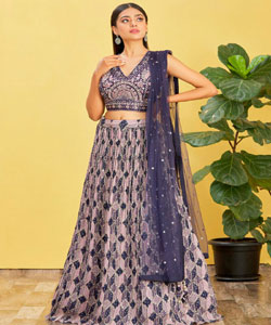 Multicolor & Dark Purple Chinnon & Slub Silk & Soft Net Printed Lehenga