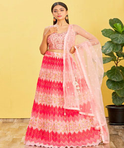 Multicolor & Pink Chinnon & Slub Silk & Soft Net Printed Lehenga