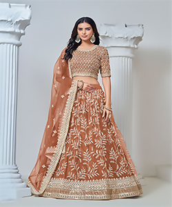 Brown Net Partywear Lehenga