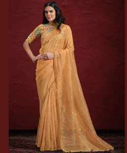 Saree Stone with Handwork