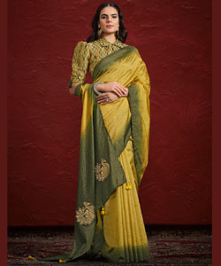 Saree Stone with Handwork