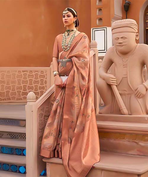 Brown Organza Casual Wear Saree in ipswich