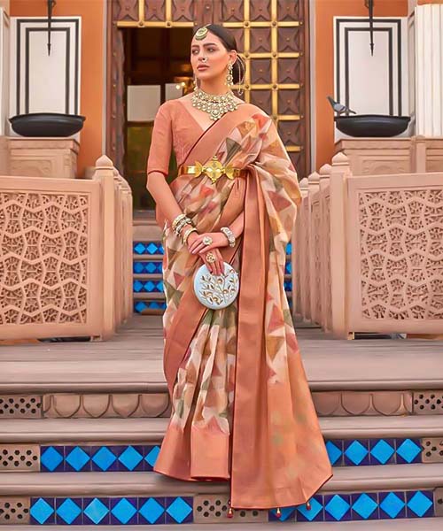 Orange  Organza Casual Wear Saree in ipswich