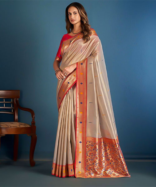 Grey  Tissue Casual Wear Saree in fresno