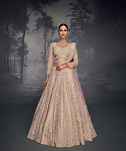 Light pink Net Designer Lehenga