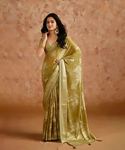 Sea green Moss Brasoo Casual Saree